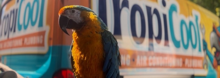 Commercial